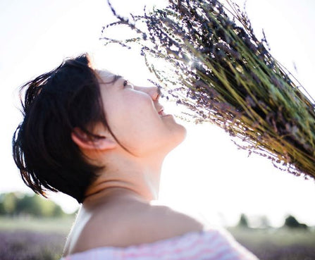 Resolutions for Serenity and Sustainability