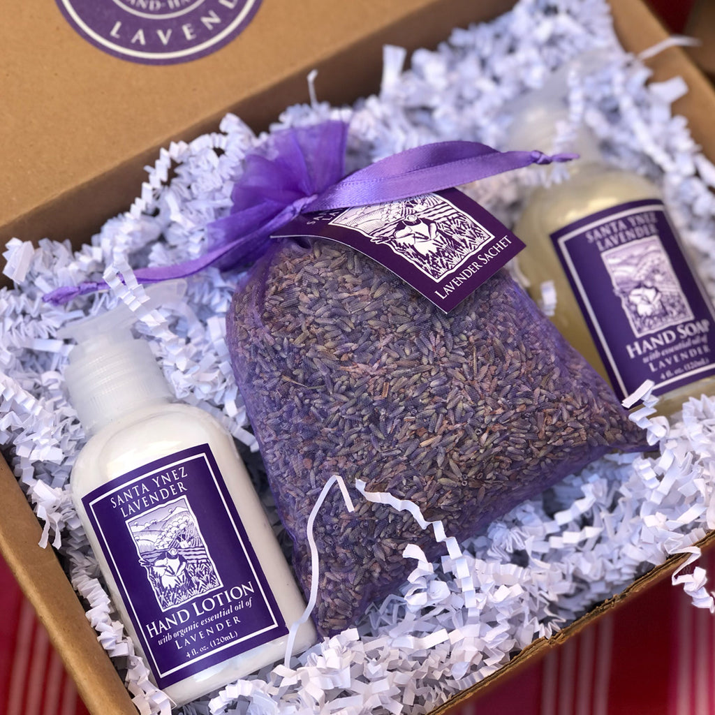 Lavender Gift Set - Hand Wash, Hand Lotion & Sachet